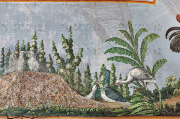 Palermo, Palazzo Reale o Palazzo dei Normanni, Appartamento Reale, Sala   degli Uccell, volta affrescata: dettaglio con uccelli e fiori.

[ENG]
Palermo, The Royal Palace or Palazzo dei Normanni (Palace of the Normans), The Royal Apartment, the Birds Room, the frescoed vault: detail with birds and flowers.
Palazzo Reale (Palazzo dei Norma, Palermo (PA), Sicilia - Sicily, Italia - Italy