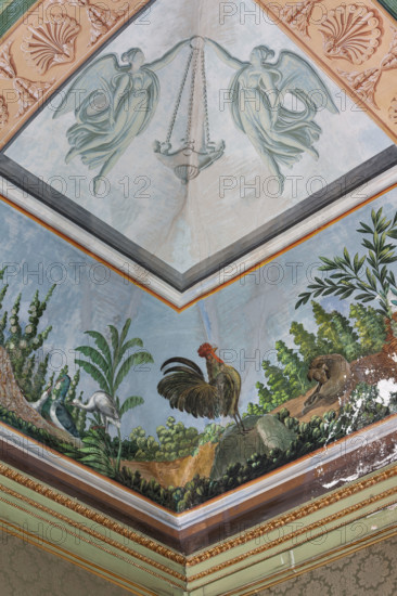 Palermo, Palazzo Reale o Palazzo dei Normanni, Appartamento Reale, Sala   degli Uccell, volta affrescata: dettaglio con gallo e piante.

[ENG]
Palermo, The Royal Palace or Palazzo dei Normanni (Palace of the Normans), The Royal Apartment, the Birds Room, the frescoed vault: detail with rooster and plants.
Palazzo Reale (Palazzo dei Norma, Palermo (PA), Sicilia - Sicily, Italia - Italy