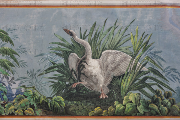 Palermo, Palazzo Reale o Palazzo dei Normanni, Appartamento Reale, Sala   degli Uccell, volta affrescata: dettaglio con cigno.

[ENG]
Palermo, The Royal Palace or Palazzo dei Normanni (Palace of the Normans), The Royal Apartment, the Birds Room, the frescoed vault: detail with a swan.
Palazzo Reale (Palazzo dei Norma, Palermo (PA), Sicilia - Sicily, Italia - Italy