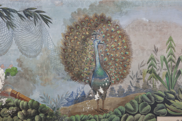 Palermo, Palazzo Reale o Palazzo dei Normanni, Appartamento Reale, Sala   degli Uccell, volta affrescata: dettaglio con pavone.

[ENG]
Palermo, The Royal Palace or Palazzo dei Normanni (Palace of the Normans), The Royal Apartment, the Birds Room, the frescoed vault: detail with a peacock.
Palazzo Reale (Palazzo dei Norma, Palermo (PA), Sicilia - Sicily, Italia - Italy