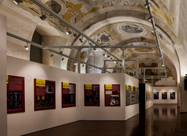 Palermo, Palazzo Reale o Palazzo dei Normanni, sala Montalto: veduta.

[ENG]
Palermo, The Royal Palace or Palazzo dei Normanni (Palace of the Normans), the Montalto room: view.
Palazzo Reale (Palazzo dei Norma, Palermo (PA), Sicilia - Sicily, Italia - Italy