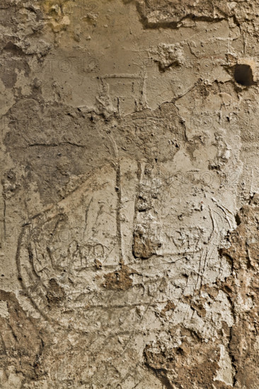 Palermo, Palazzo Reale o Palazzo dei Normanni, ala Montalto, le segrete sottostanti il cortile della Fontana, Sala dei Graffiti: particolare con nave vichinga.

[ENG]
Palermo, The Royal Palace or Palazzo dei Normanni (Palace of the Normans), the Montalto wing, the dungeons below the Fountain Courtyard, the Graffiti Room: detail representing a viking vessel.
Palazzo Reale (Palazzo dei Norma, Palermo (PA), Sicilia - Sicily, Italia - Italy