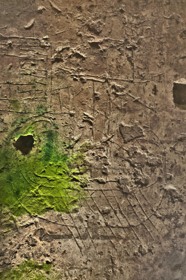 Palermo, The Royal Palace or Palazzo dei Normanni (Palace of the Normans), the Montalto wing, the dungeons below the Fountain Courtyard, the Graffiti Room: detail representing a viking vessel.
Palazzo Reale (Palazzo dei Norma, Palermo (PA), Sicilia - Sicily, Italia - Italy