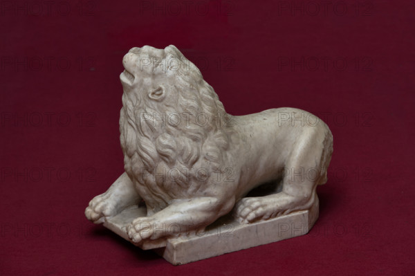 Palermo, Palazzo Reale o Palazzo dei Normanni, Torre Joharia, Sala dei Venti: leone in marmo di epoca normanna.

[ENG]
Palermo, The Royal Palace or Palazzo dei Normanni (Palace of the Normans), Joharia Tower, the Winds Room: marble lion (Norman age).
Palazzo Reale (Palazzo dei Norma, Palermo (PA), Sicilia - Sicily, Italia - Italy