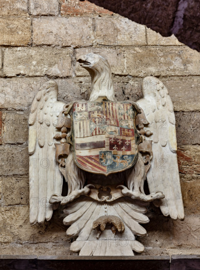 Palermo, Palazzo Reale o Palazzo dei Normanni, Torre Joharia, Sala dei Venti: scultura che rappresenta lo stemma borbonico dell'aquila.

[ENG]
Palermo, The Royal Palace or Palazzo dei Normanni (Palace of the Normans), Joharia Tower, the Winds Room: sculpture representing emblem of the Borbones.
Palazzo Reale (Palazzo dei Norma, Palermo (PA), Sicilia - Sicily, Italia - Italy