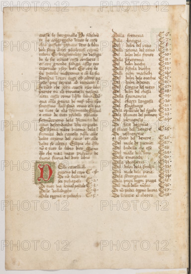 Erbario di Trento (Manoscritto n° 1591), XVI secolo, carta 44 verso.

[ENG]
Herbarium of Trento (Manuscript No. 1591), 16th century, page 44 verso.
Museo provinciale d'arte - Caste, Trento (TN), Trentino Alto Adige - Südtirol, Italia - Italy