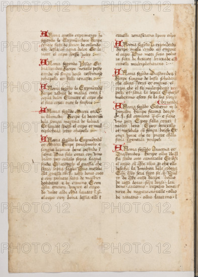 Erbario di Trento (Manoscritto n° 1591), XVI secolo, carta 45 verso.

[ENG]
Herbarium of Trento (Manuscript No. 1591), 16th century, page 45 verso.
Museo provinciale d'arte - Caste, Trento (TN), Trentino Alto Adige - Südtirol, Italia - Italy