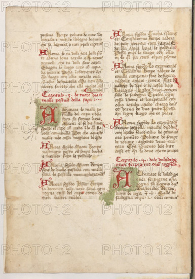 Erbario di Trento (Manoscritto n° 1591), XVI secolo, carta 46 verso.

[ENG]
Herbarium of Trento (Manuscript No. 1591), 16th century, page 46 verso.
Museo provinciale d'arte - Caste, Trento (TN), Trentino Alto Adige - Südtirol, Italia - Italy