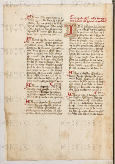 Erbario di Trento (Manoscritto n° 1591), XVI secolo, carta 47 verso.

[ENG]
Herbarium of Trento (Manuscript No. 1591), 16th century, page 47 verso.
Museo provinciale d'arte - Caste, Trento (TN), Trentino Alto Adige - Südtirol, Italia - Italy