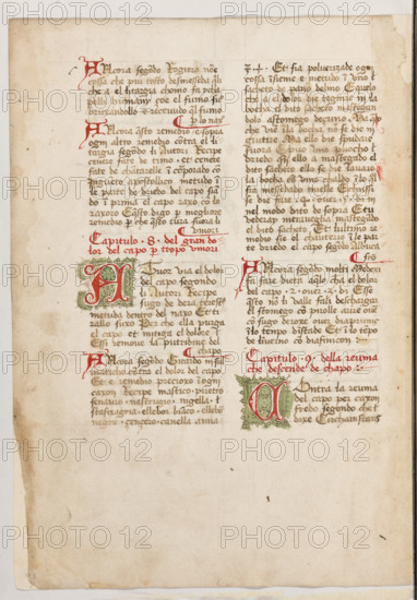 Erbario di Trento (Manoscritto n° 1591), XVI secolo, carta 48 verso.

[ENG]
Herbarium of Trento (Manuscript No. 1591), 16th century, page 48 verso.
Museo provinciale d'arte - Caste, Trento (TN), Trentino Alto Adige - Südtirol, Italia - Italy