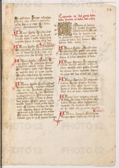 Erbario di Trento (Manoscritto n° 1591), XVI secolo, carta 49 recto.

[ENG]
Herbarium of Trento (Manuscript No. 1591), 16th century, page 49 recto.
Museo provinciale d'arte - Caste, Trento (TN), Trentino Alto Adige - Südtirol, Italia - Italy