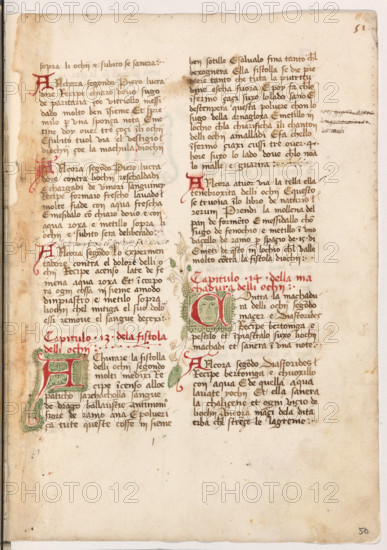 Erbario di Trento (Manoscritto n° 1591), XVI secolo, carta 50 recto.

[ENG]
Herbarium of Trento (Manuscript No. 1591), 16th century, page 50 recto.
Museo provinciale d'arte - Caste, Trento (TN), Trentino Alto Adige - Südtirol, Italia - Italy