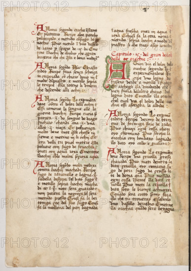 Erbario di Trento (Manoscritto n° 1591), XVI secolo, carta 50 verso.

[ENG]
Herbarium of Trento (Manuscript No. 1591), 16th century, page 50 verso.
Museo provinciale d'arte - Caste, Trento (TN), Trentino Alto Adige - Südtirol, Italia - Italy