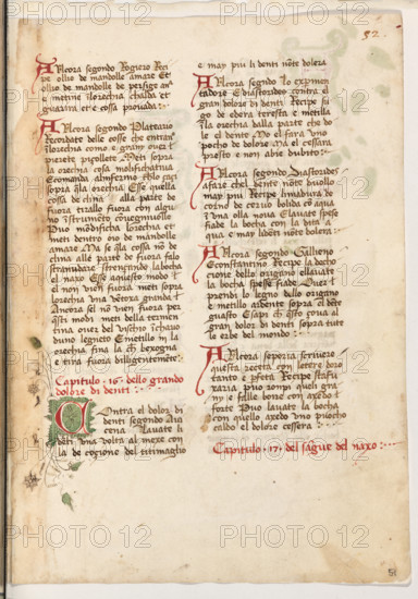 Erbario di Trento (Manoscritto n° 1591), XVI secolo, carta 51 recto.

[ENG]
Herbarium of Trento (Manuscript No. 1591), 16th century, page 51 recto.
Museo provinciale d'arte - Caste, Trento (TN), Trentino Alto Adige - Südtirol, Italia - Italy