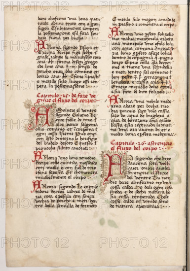 Erbario di Trento (Manoscritto n° 1591), XVI secolo, carta 53 verso.

[ENG]
Herbarium of Trento (Manuscript No. 1591), 16th century, page 53 verso.
Museo provinciale d'arte - Caste, Trento (TN), Trentino Alto Adige - Südtirol, Italia - Italy