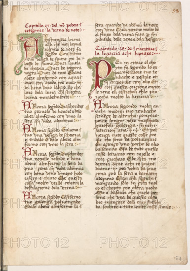 Erbario di Trento (Manoscritto n° 1591), XVI secolo, carta 57 recto.

[ENG]
Herbarium of Trento (Manuscript No. 1591), 16th century, page 57 recto.
Museo provinciale d'arte - Caste, Trento (TN), Trentino Alto Adige - Südtirol, Italia - Italy