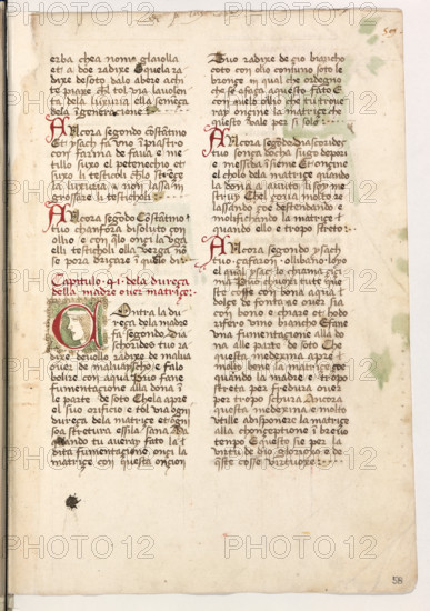 Erbario di Trento (Manoscritto n° 1591), XVI secolo, carta 58 recto.

[ENG]
Herbarium of Trento (Manuscript No. 1591), 16th century, page 58 recto.
Museo provinciale d'arte - Caste, Trento (TN), Trentino Alto Adige - Südtirol, Italia - Italy