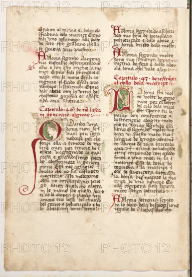 Erbario di Trento (Manoscritto n° 1591), XVI secolo, carta 59 verso.

[ENG]
Herbarium of Trento (Manuscript No. 1591), 16th century, page 59 verso.
Museo provinciale d'arte - Caste, Trento (TN), Trentino Alto Adige - Südtirol, Italia - Italy