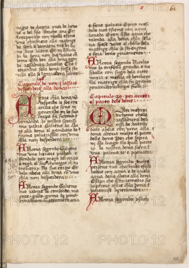 Erbario di Trento (Manoscritto n° 1591), XVI secolo, carta 60 recto.

[ENG]
Herbarium of Trento (Manuscript No. 1591), 16th century, page 60 recto.
Museo provinciale d'arte - Caste, Trento (TN), Trentino Alto Adige - Südtirol, Italia - Italy
