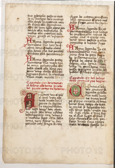 Erbario di Trento (Manoscritto n° 1591), XVI secolo, carta 60 verso.

[ENG]
Herbarium of Trento (Manuscript No. 1591), 16th century, page 60 verso.
Museo provinciale d'arte - Caste, Trento (TN), Trentino Alto Adige - Südtirol, Italia - Italy
