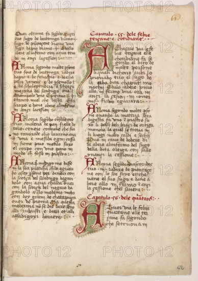 Erbario di Trento (Manoscritto n° 1591), XVI secolo, carta 62 recto.

[ENG]
Herbarium of Trento (Manuscript No. 1591), 16th century, page 62 recto.
Museo provinciale d'arte - Caste, Trento (TN), Trentino Alto Adige - Südtirol, Italia - Italy