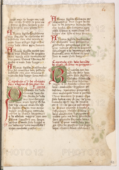 Erbario di Trento (Manoscritto n° 1591), XVI secolo, carta 63 recto.

[ENG]
Herbarium of Trento (Manuscript No. 1591), 16th century, page 63 recto.
Museo provinciale d'arte - Caste, Trento (TN), Trentino Alto Adige - Südtirol, Italia - Italy
