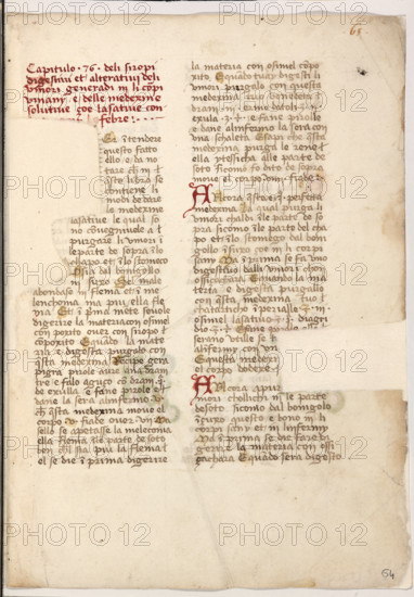 Erbario di Trento (Manoscritto n° 1591), XVI secolo, carta 64 recto.

[ENG]
Herbarium of Trento (Manuscript No. 1591), 16th century, page 64 recto.
Museo provinciale d'arte - Caste, Trento (TN), Trentino Alto Adige - Südtirol, Italia - Italy