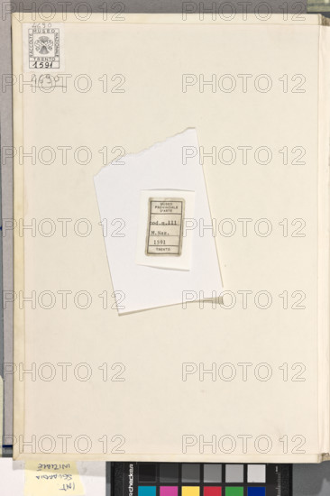 Erbario di Trento (Manoscritto n° 1591),
Museo Provinciale d'Arte, Veneto, Italia