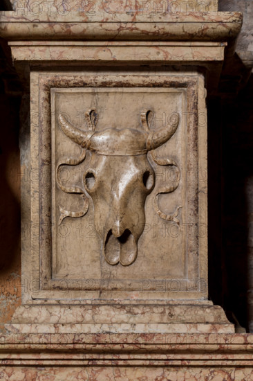 Modena, Duomo, interno, navata destra: monumento funerario dedicato a Francesco Molza; di Bartolomeo Spani, 1516. Marmo di Carrara, marmo proconnesio, pietra d'Istria e rosso ammonitico.

[ENG]
Modena, Cathedral, interior, right aisle: funerary monument dedicated to Francesco Molza; Bartolomeo Spani, 1516. Carrara marble, Proconnesian marble, Istrian stone and red ammonitic stone.