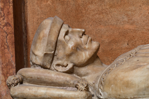 Modena, Duomo, interno, navata destra: monumento funerario dedicato a Francesco Molza; di Bartolomeo Spani, 1516. Marmo di Carrara, marmo proconnesio, pietra d'Istria e rosso ammonitico.

[ENG]
Modena, Cathedral, interior, right aisle: funerary monument dedicated to Francesco Molza; Bartolomeo Spani, 1516. Carrara marble, Proconnesian marble, Istrian stone and red ammonitic stone.