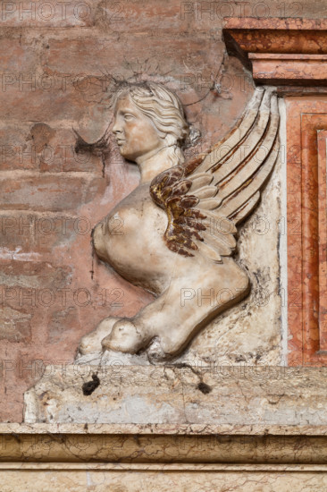 Modena, Duomo, interno, navata destra: monumento funerario dedicato a Francesco Molza; di Bartolomeo Spani, 1516. Marmo di Carrara, marmo proconnesio, pietra d'Istria e rosso ammonitico.

[ENG]
Modena, Cathedral, interior, right aisle: funerary monument dedicated to Francesco Molza; Bartolomeo Spani, 1516. Carrara marble, Proconnesian marble, Istrian stone and red ammonitic stone.