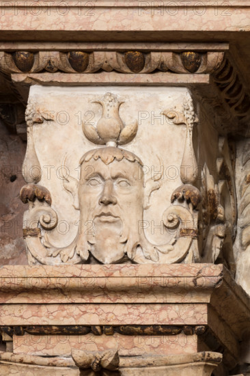 Modena, Duomo, interno, navata destra: monumento funerario dedicato a Francesco Molza; di Bartolomeo Spani, 1516. Marmo di Carrara, marmo proconnesio, pietra d'Istria e rosso ammonitico.

[ENG]
Modena, Cathedral, interior, right aisle: funerary monument dedicated to Francesco Molza; Bartolomeo Spani, 1516. Carrara marble, Proconnesian marble, Istrian stone and red ammonitic stone.