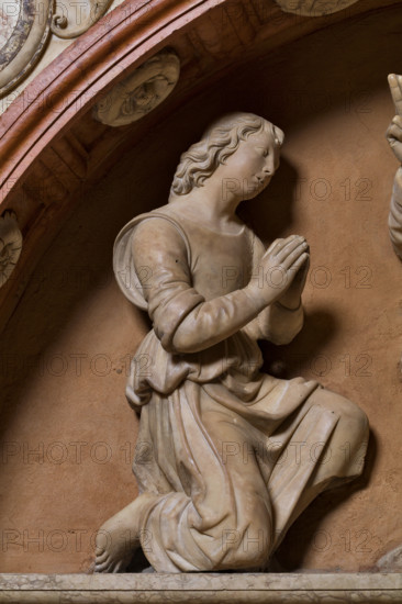 Modena, Duomo, interno, navata destra: monumento funerario dedicato a Francesco Molza; di Bartolomeo Spani, 1516. Marmo di Carrara, marmo proconnesio, pietra d'Istria e rosso ammonitico.

[ENG]
Modena, Cathedral, interior, right aisle: funerary monument dedicated to Francesco Molza; Bartolomeo Spani, 1516. Carrara marble, Proconnesian marble, Istrian stone and red ammonitic stone.
Duomo, Modena (MO), Emilia Romagna, Italia - Italy