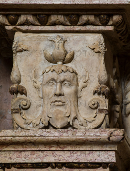 Modena, Duomo, interno, navata destra: monumento funerario dedicato a Francesco Molza; di Bartolomeo Spani, 1516. Marmo di Carrara, marmo proconnesio, pietra d'Istria e rosso ammonitico.

[ENG]
Modena, Cathedral, interior, right aisle: funerary monument dedicated to Francesco Molza; Bartolomeo Spani, 1516. Carrara marble, Proconnesian marble, Istrian stone and red ammonitic stone.
Duomo, Modena (MO), Emilia Romagna, Italia - Italy