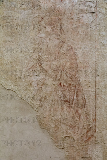 Pisa, Museo delle sinopie:
“Annunciazione”, sinopia di Benozzo Gozzoli, preparatoria agli affreschi del Camposanto, 1468/70.
Particolare della Vergine.

[ENG]
Pisa, Sinopia Museum:
“Annunciation,” sinopia by Benozzo Gozzoli, preparatory to the frescoes in the Camposanto, 1468/70.
Detail of the Virgin.
Museo delle sinopie, Pisa (PI), Toscana - Tuscany, Italia - Italy