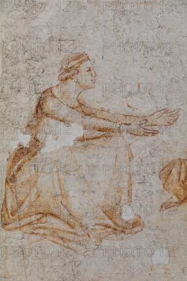 Pisa, Museo delle sinopie: “Tebaide”,
storie degli Eremiti e dei Santi Padri ispirate alla “Vitae Patrum” del canonico domenicano Cavalca. Sinopia preparatoria agli affreschi del Camposanto di Buonamico Buffalmacco, 1336/1341.
Particolare con donna.

[ENG]
Pisa, Sinopia Museum: “Thebaid”, Stories of the Hermits and the Holy Fathers inspired by the Vitae Patrum by the Dominican Domenico Canon Cavalca. Sinopia preparatory to the frescoes by Buonamico Buffalmacco, 1336/1341. 
Detail with a woman.
Museo delle sinopie, Pisa (PI), Toscana - Tuscany, Italia - Italy