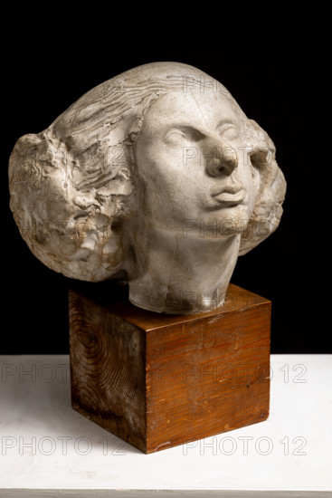 Collezione Assicoop Unipol, inv. n° 878: 
Roberto Melli (1885-1958); “Ritratto di giovinetta”; scultura in gesso, cm. 25x35x32.

[ENG]
Roberto Melli (1885-1958); “Portrait of  a Young Girl”; Plaster sculpture, cm. 25x35x32.
Collezione Assicoop - Unipol, Modena (MO), Emilia Romagna, Italia - Italy