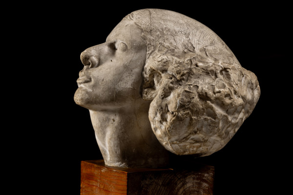 Collezione Assicoop Unipol, inv. n° 878: 
Roberto Melli (1885-1958); “Ritratto di giovinetta”; scultura in gesso, cm. 25x35x32.

[ENG]
Roberto Melli (1885-1958); “Portrait of  a Young Girl”; Plaster sculpture, cm. 25x35x32.
Collezione Assicoop - Unipol, Modena (MO), Emilia Romagna, Italia - Italy