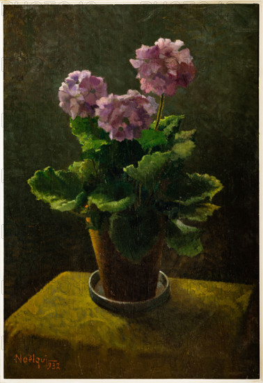 Collezione Assicoop Unipol, inv. n° 963: 
Noelqui Quintavalle(1893 - 1973); “Primula viola in fiore” (olio su tavola, cm 65 x 45).

[ENG]
Noelqui Quintavalle (1893 - 1973); “Purple Primrose in Bloom” (oil on panel, 65 x 45 cm).
Collezione Assicoop - Unipol, Modena (MO), Emilia Romagna, Italia - Italy