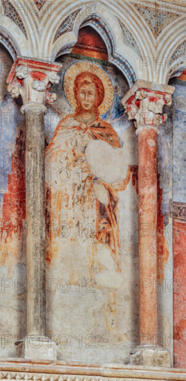 Assisi, Basilica superiore di San Francesco, transetto meridionale, parete ovest, registro mediano: terzo angelo (Principato) delle “Gerarchie angeliche”. 
Affreschi di Cimabue (Cenni di Pepo 1277-1283?) e bottega.

[ENG]
Assisi, Upper Basilica of Saint Francis, southern transept, west wall, the middle register: the third angel of the angelic hierarchies. Frescoes by Cimabue (Cenni di Pepo 1277-1283?).
Basilica superiore di San France, Assisi (PG), Umbria, Italia - Italy