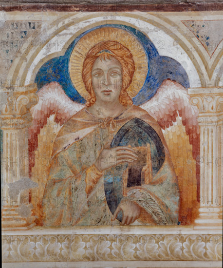Assisi, Basilica superiore di San Francesco, transetto meridionale, parete ovest, registro mediano, loggetta: primo angelo (Trono) delle “Gerarchie angeliche”. 
Affreschi di Cimabue (Cenni di Pepo 1277-1283?) e bottega.

[ENG]
Assisi, Upper Basilica of Saint Francis, southern transept, west wall, the middle register, small loggia: the first angel (Throne) of the angelic hierarchies. Frescoes by Cimabue (Cenni di Pepo 1277-1283?).
Basilica superiore di San France, Assisi (PG), Umbria, Italia - Italy