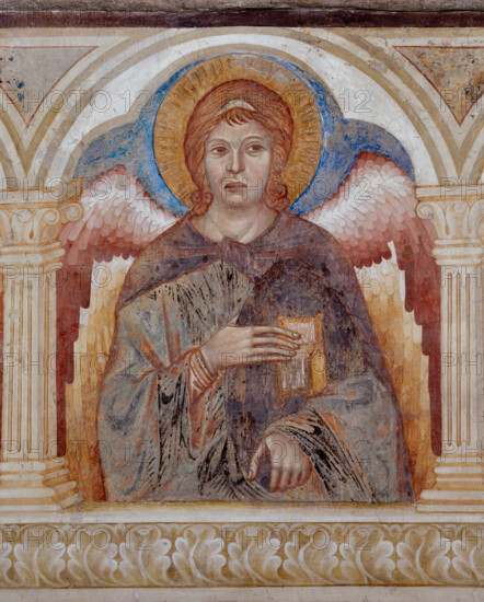 Assisi, Basilica superiore di San Francesco, transetto meridionale, parete ovest, registro mediano, loggetta: secondo angelo (Trono) delle “Gerarchie angeliche”. 
Affreschi di Cimabue (Cenni di Pepo 1277-1283?) e bottega.

[ENG]
Assisi, Upper Basilica of Saint Francis, southern transept, west wall, the middle register, small loggia: the second angel (Throne) of the angelic hierarchies. Frescoes by Cimabue (Cenni di Pepo 1277-1283?).
Basilica superiore di San France, Assisi (PG), Umbria, Italia - Italy