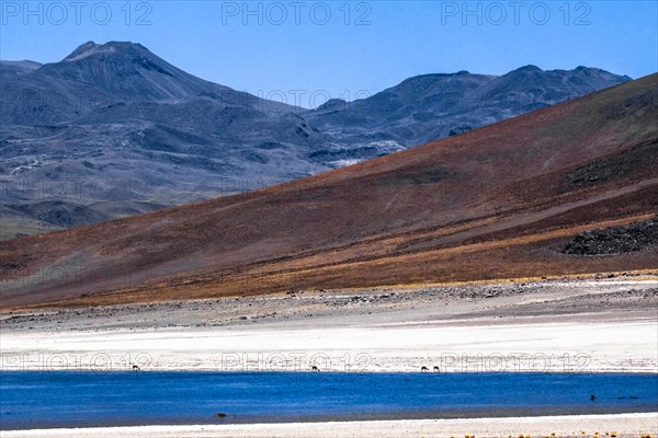 Atacama desert, Chile and Bolivia