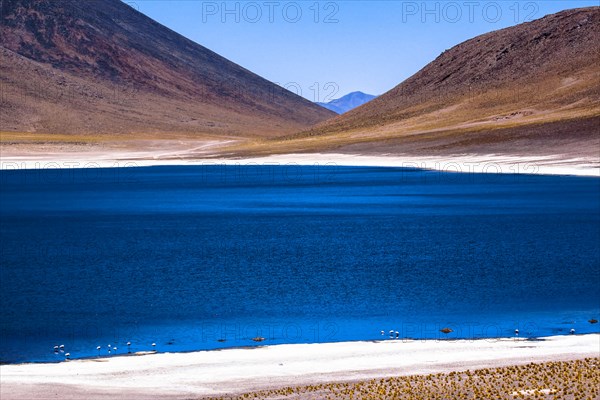 Atacama desert, Chile and Bolivia