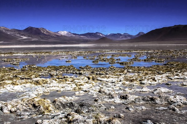 Salar d'Atacama, Chili