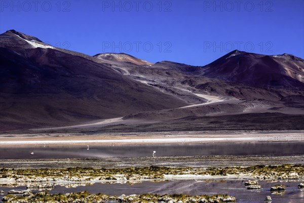 Salar d'Atacama, Chili