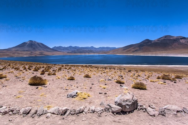 Lagon de Miscanti, désert d'Atacama, Chili