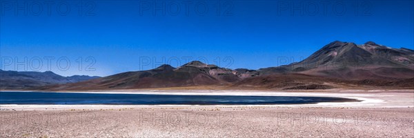 Lagon de Miscanti, désert d'Atacama, Chili