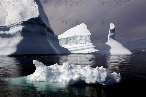 Icebergs in Greenland