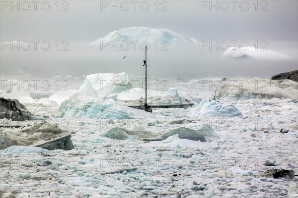 Bateau voguant dans la banquise, baie de Disko, Ilulissat, Groenland